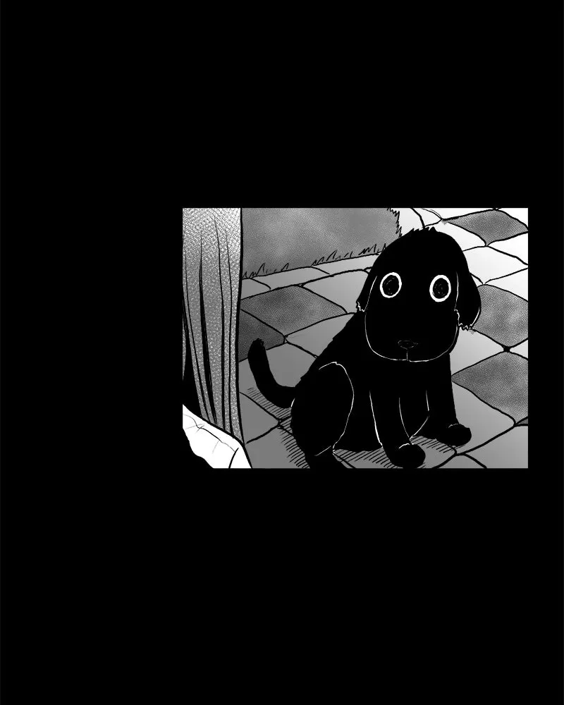 Grasp Chapter 1 page 108 - 