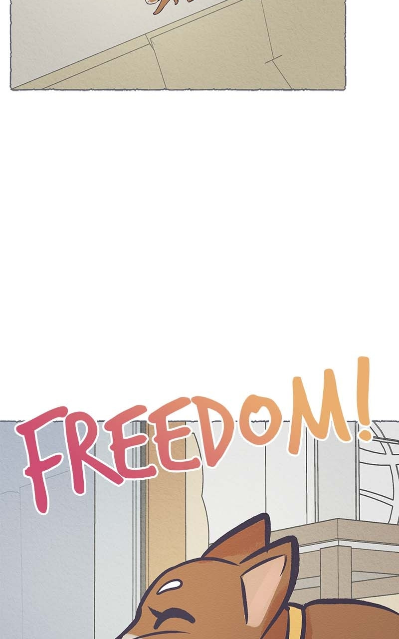 Guaba Chapter 16 page 27 - 