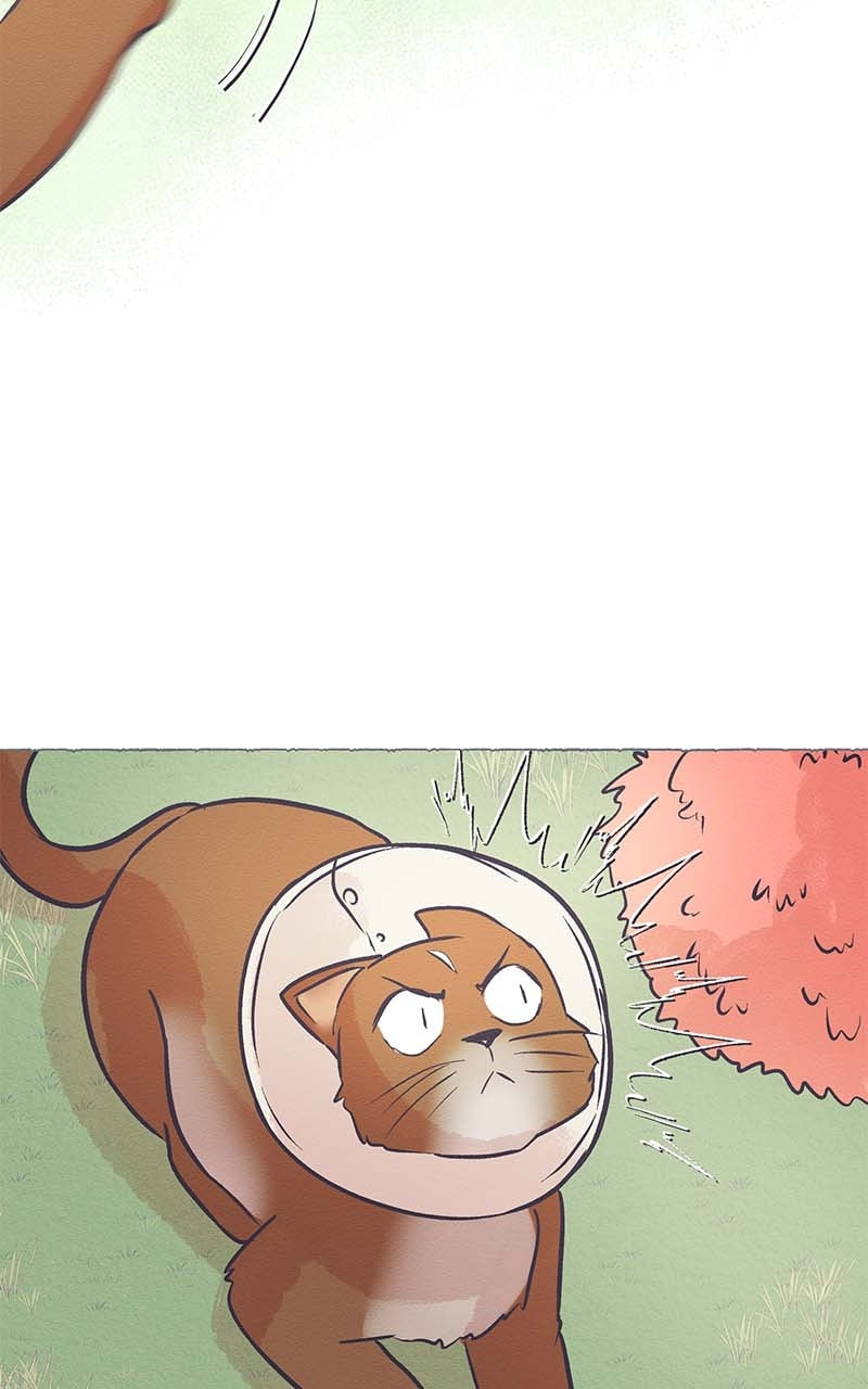 Guaba Chapter 56 page 19 - 