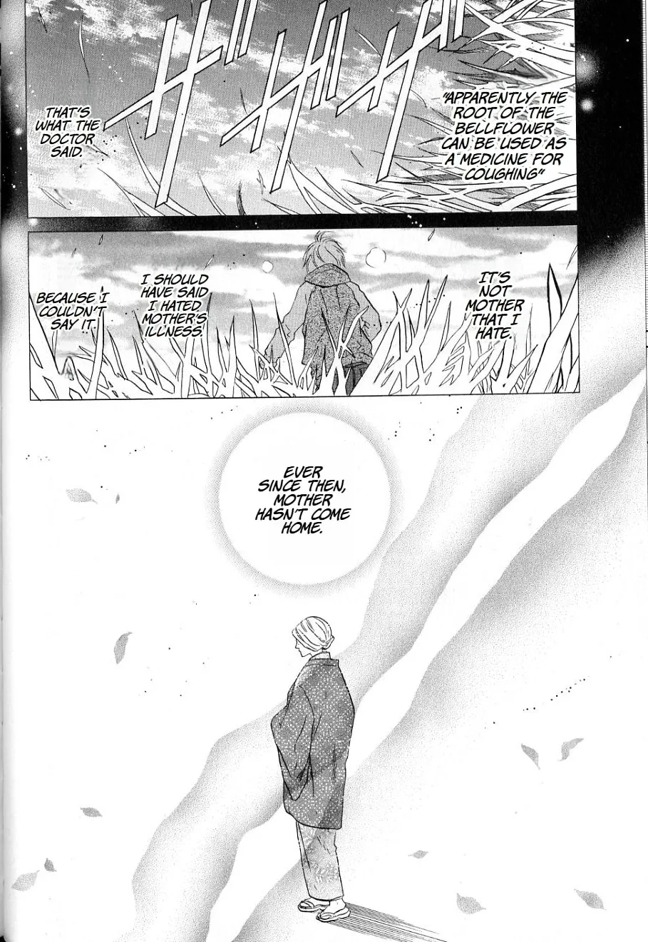 Hakkenden Chapter 36 page 29 - 