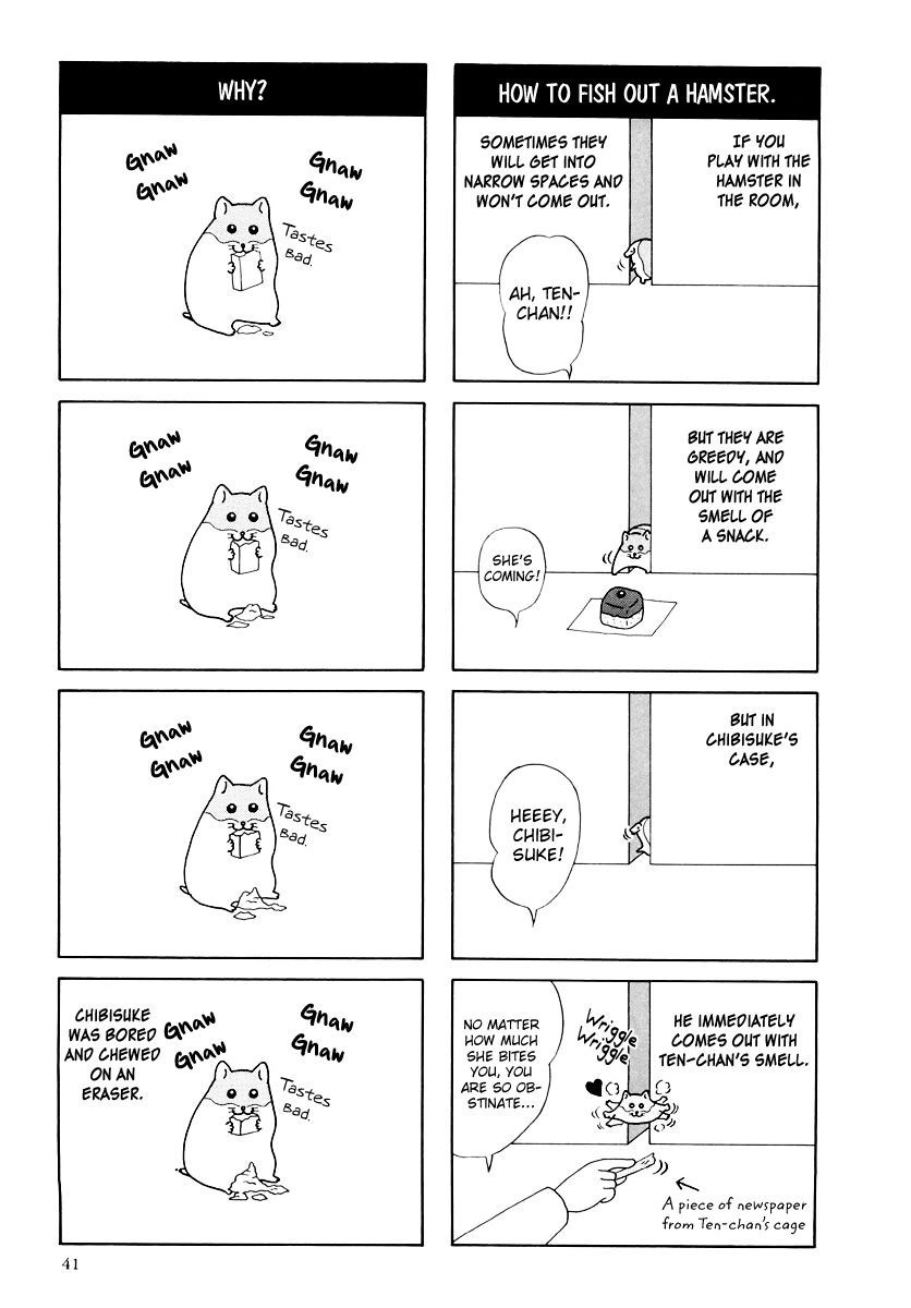 Hamster Chapter 16 page 3 - 
