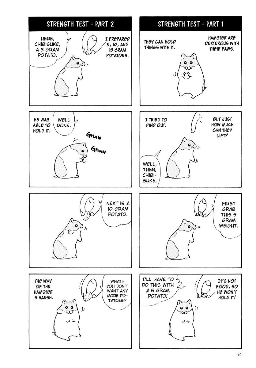 Hamster Chapter 16 page 6 - 