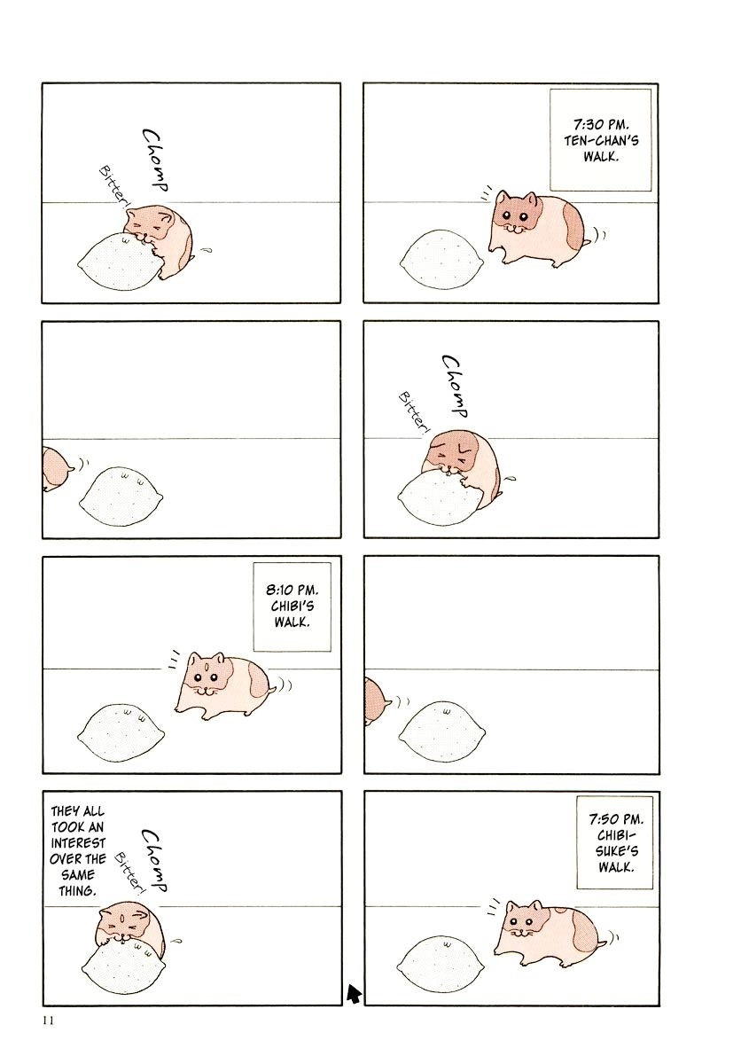 Hamster Chapter 21 page 16 - 