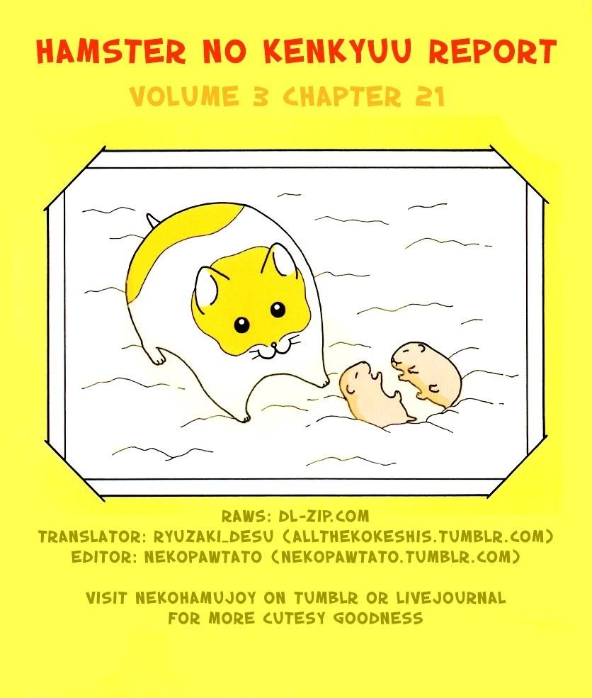 Hamster Chapter 21 page 18 - 