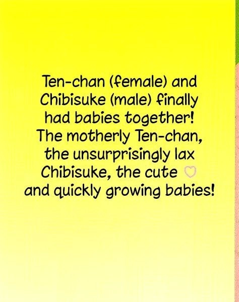 Hamster Chapter 21 page 3 - 