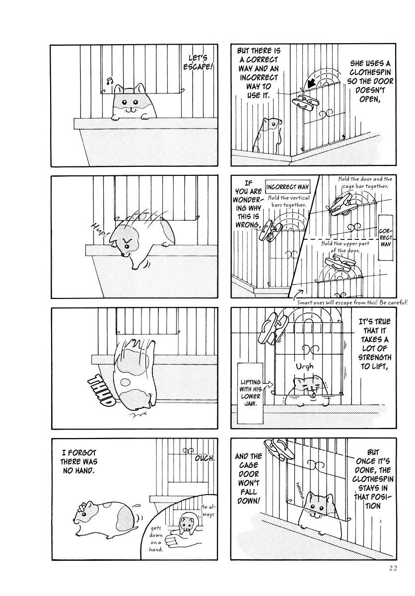 Hamster Chapter 23 page 2 - 