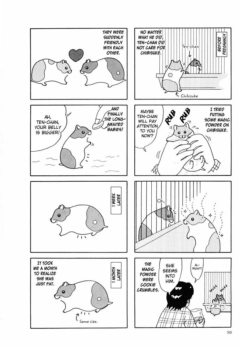 Hamster Chapter 24 page 2 - 