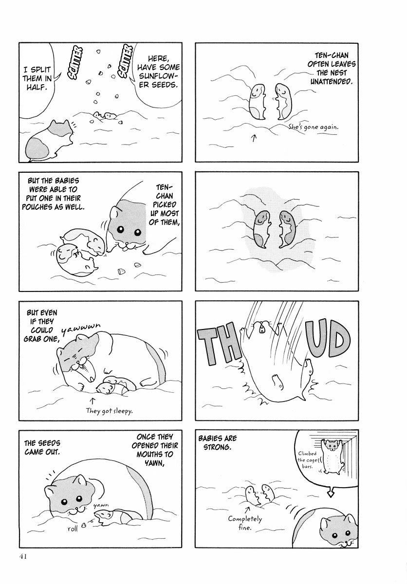 Hamster Chapter 24 page 13 - 