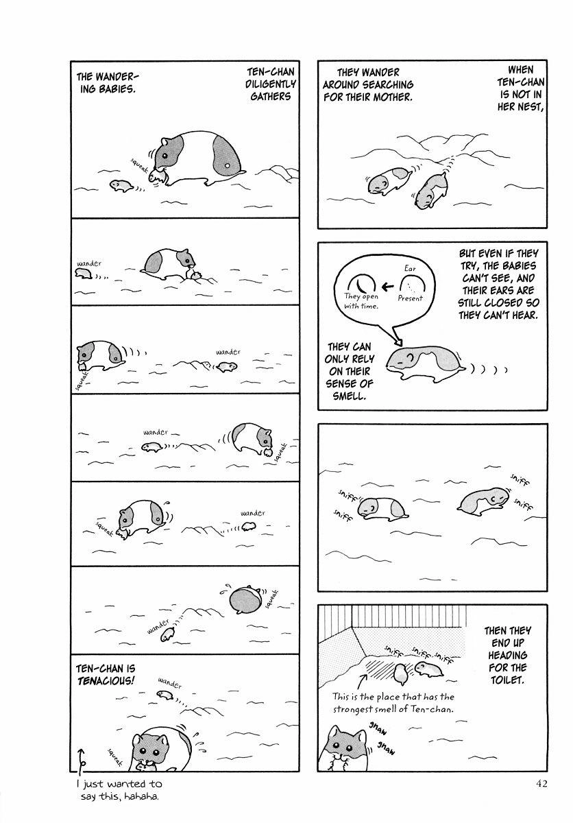 Hamster Chapter 24 page 14 - 