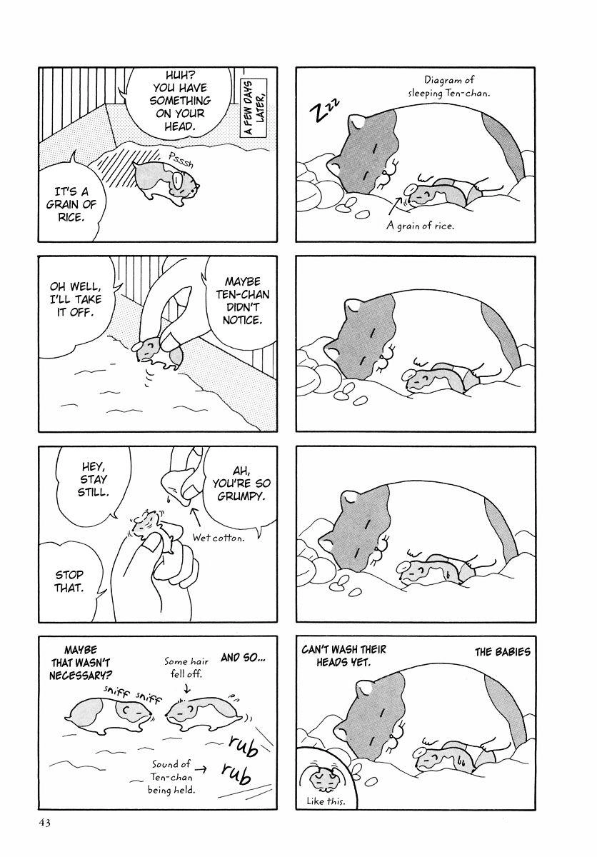 Hamster Chapter 24 page 15 - 