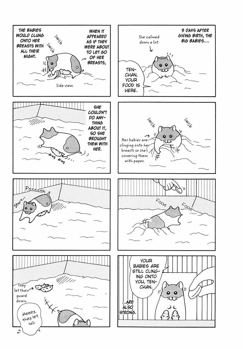 Hamster Chapter 24 page 7 - 