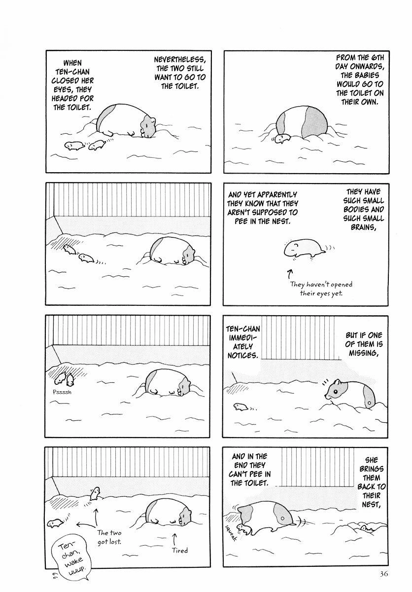 Hamster Chapter 24 page 8 - 