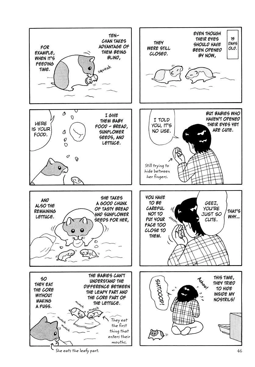 Hamster Chapter 25 page 2 - 