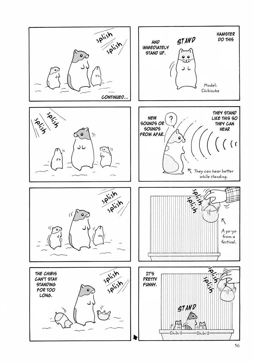 Hamster Chapter 25 page 12 - 