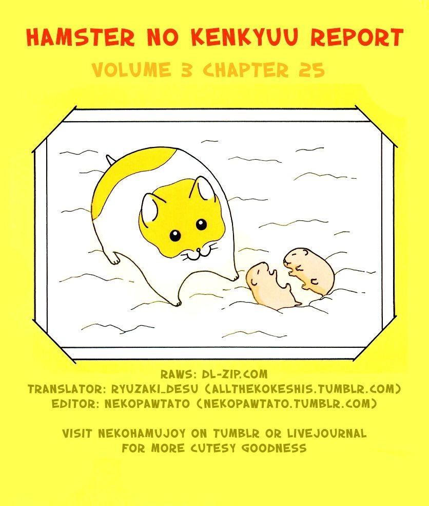 Hamster Chapter 25 page 17 - 