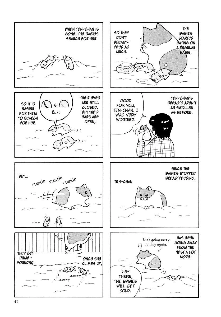 Hamster Chapter 25 page 3 - 
