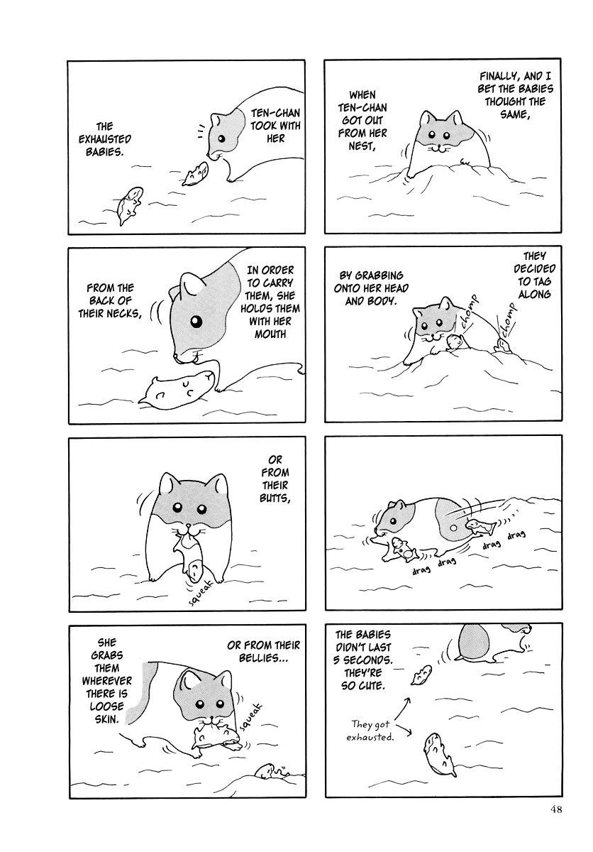 Hamster Chapter 25 page 4 - 