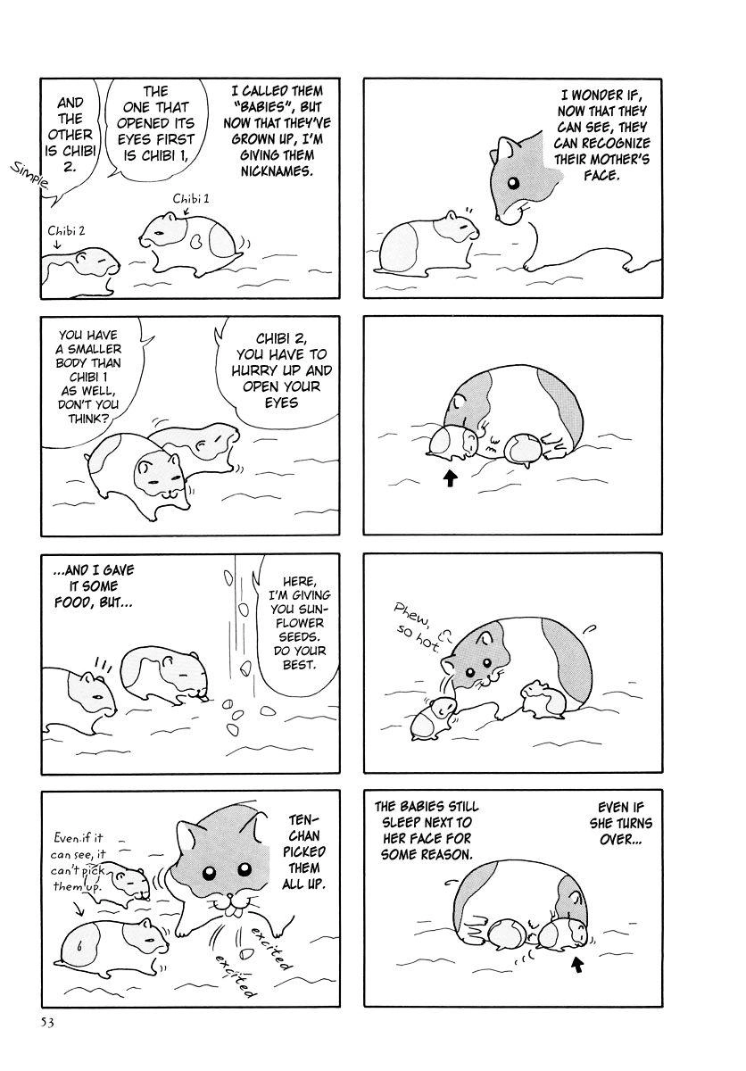 Hamster Chapter 25 page 9 - 