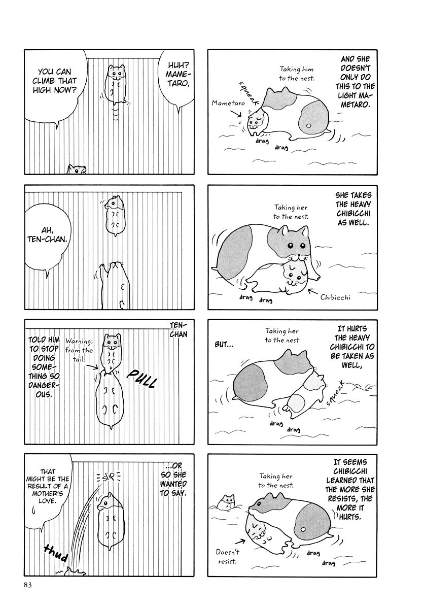 Hamster Chapter 27 page 7 - 