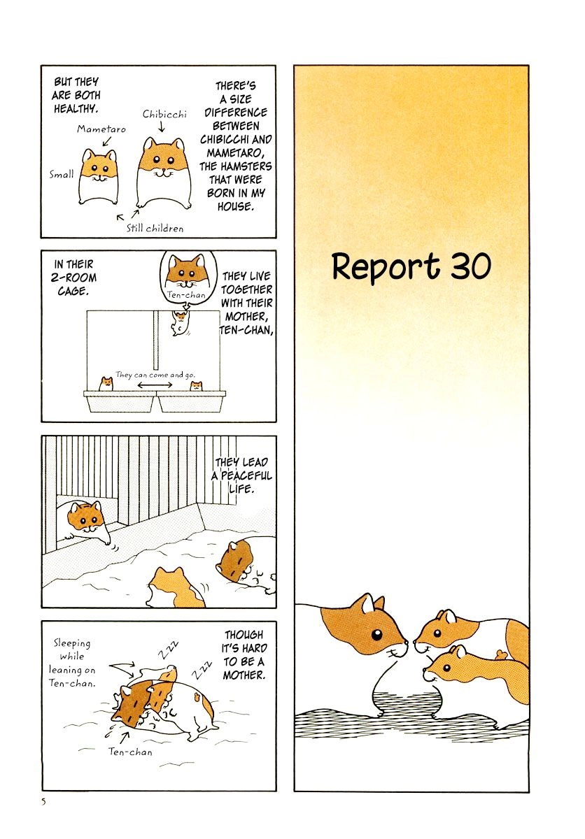 Hamster Chapter 29 page 7 - 