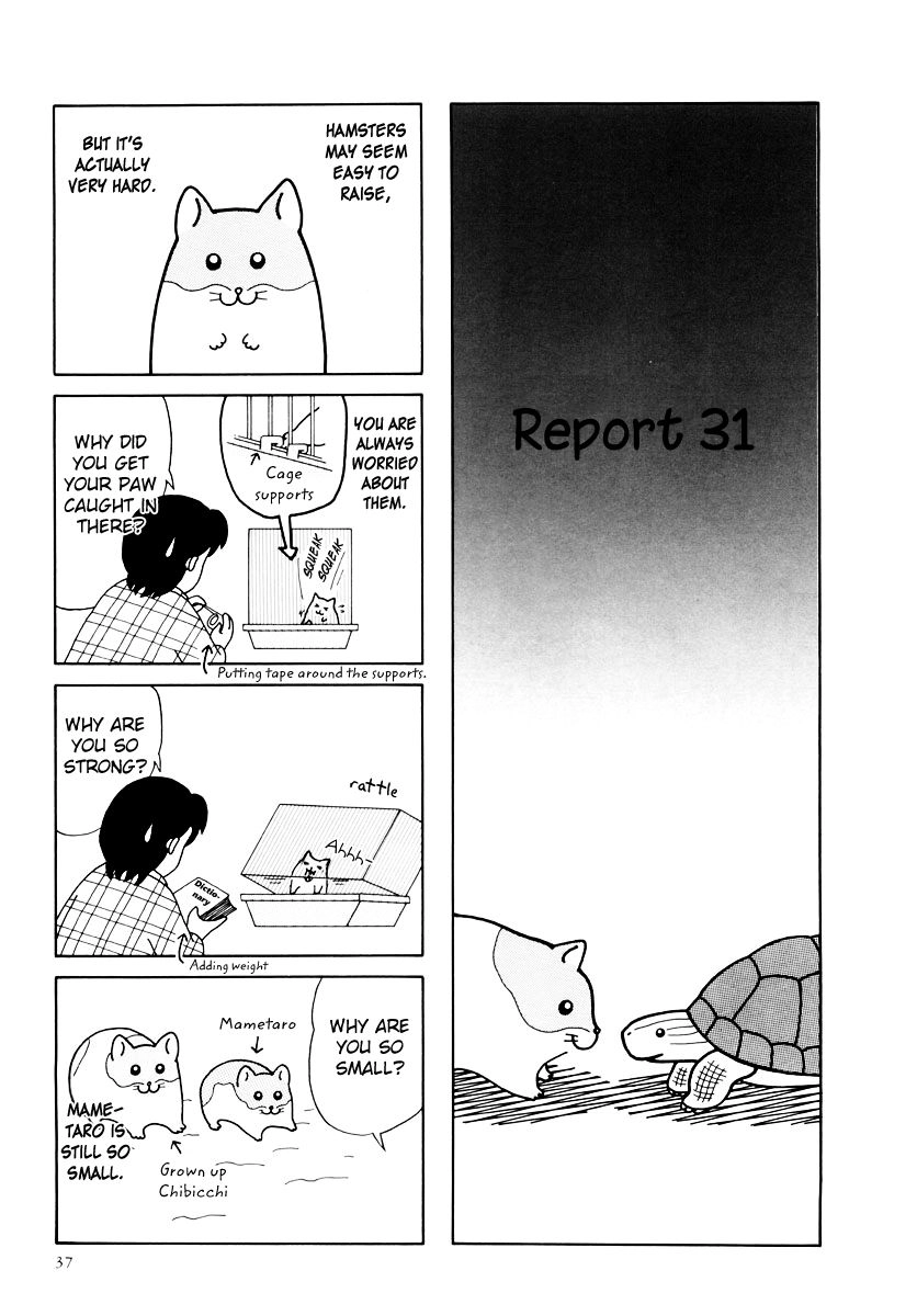 Hamster Chapter 31 page 1 - 