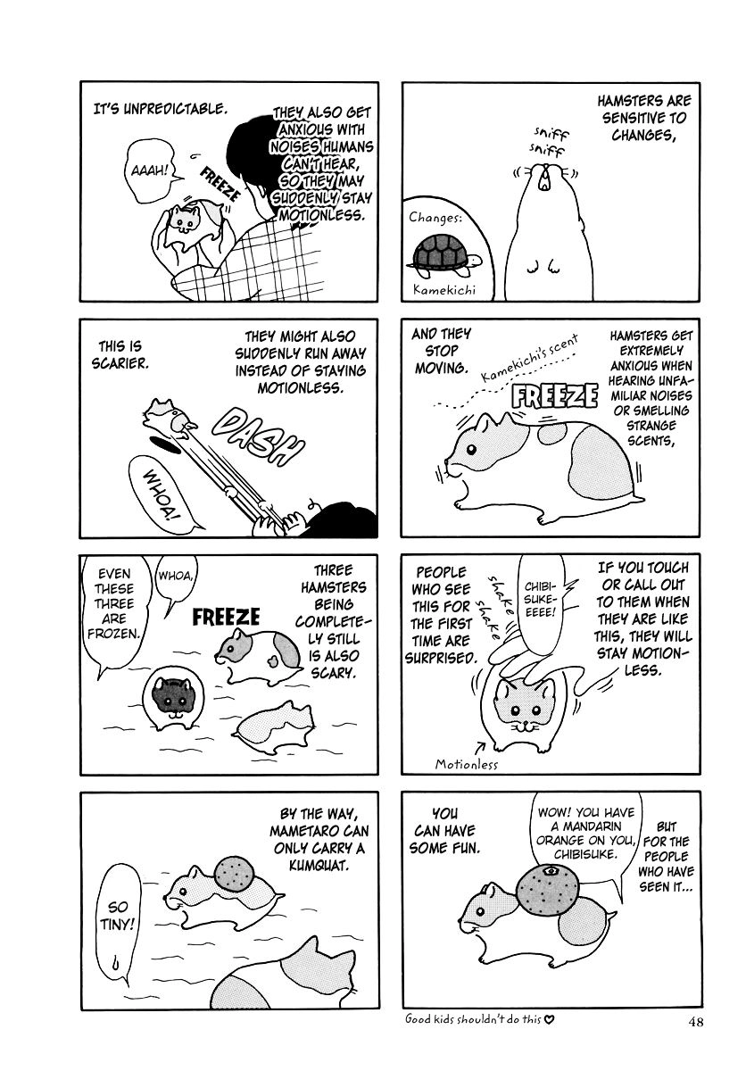 Hamster Chapter 31 page 12 - 