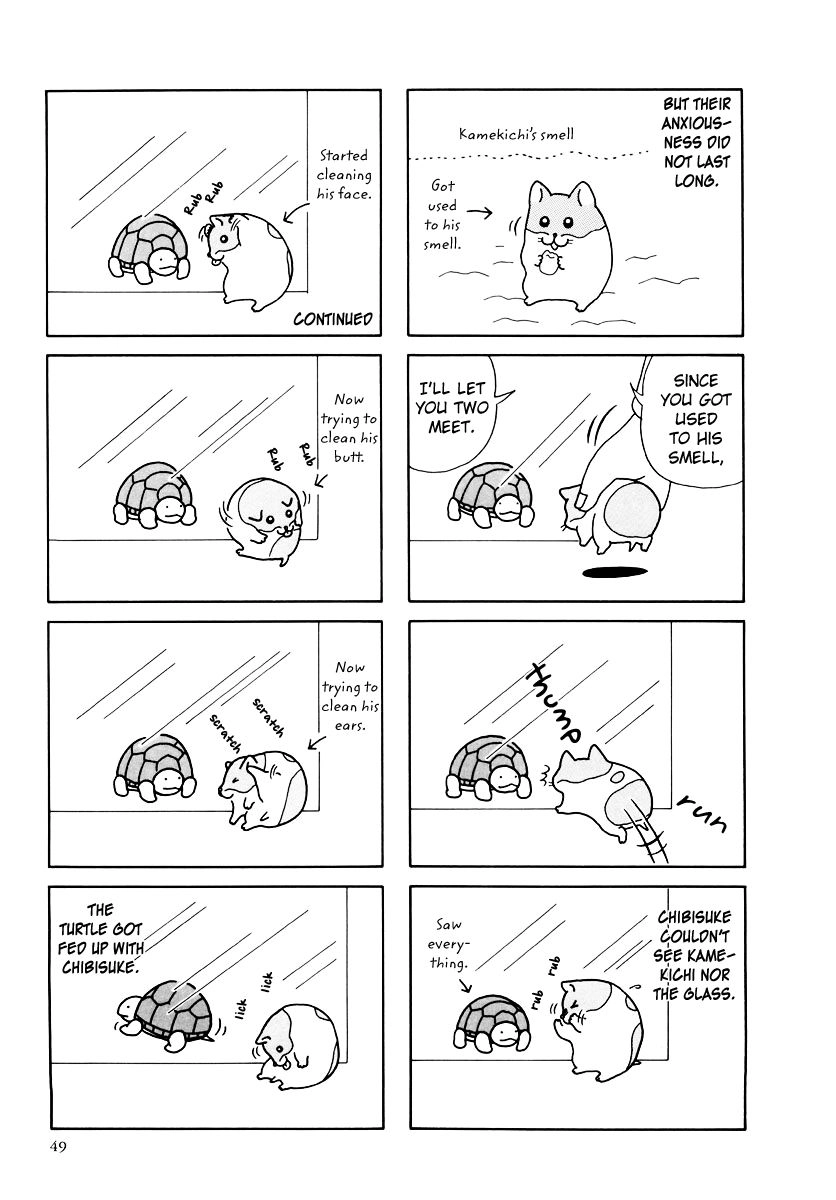 Hamster Chapter 31 page 13 - 