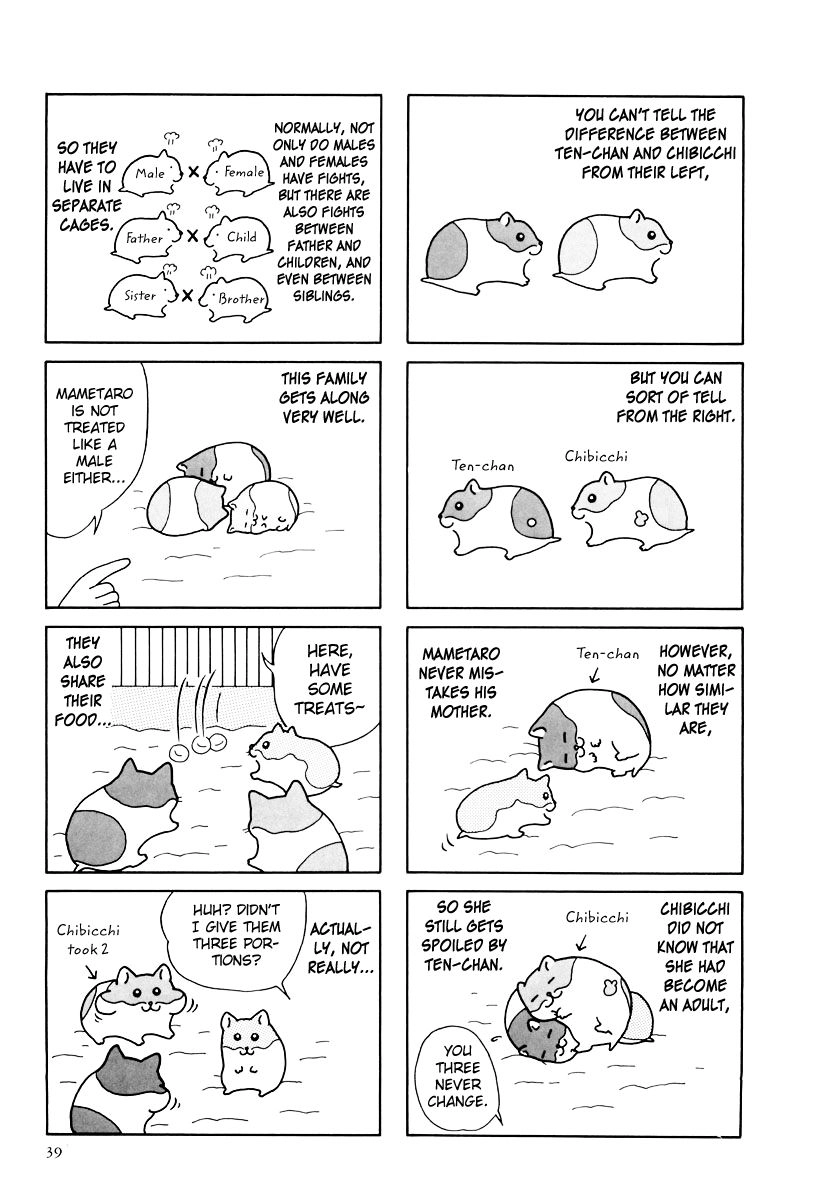 Hamster Chapter 31 page 3 - 