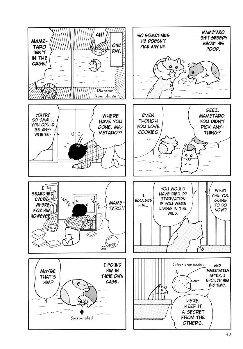 Hamster Chapter 31 page 4 - 