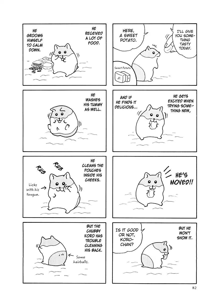 Hamster Chapter 33 page 14 - 