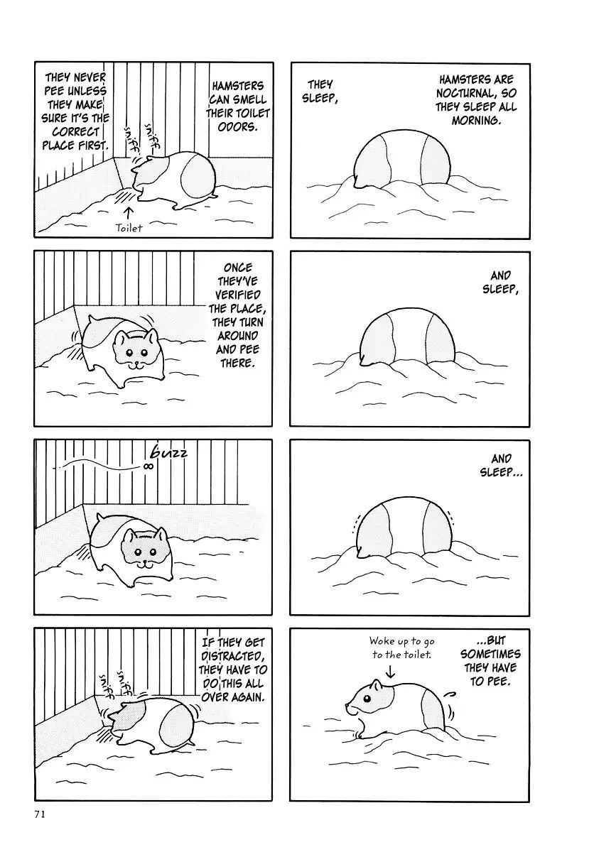 Hamster Chapter 33 page 3 - 