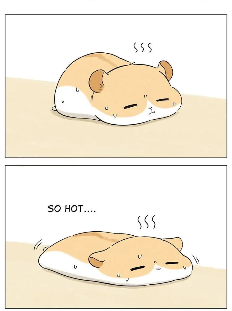 Hamster Chapter 6 page 1 - 