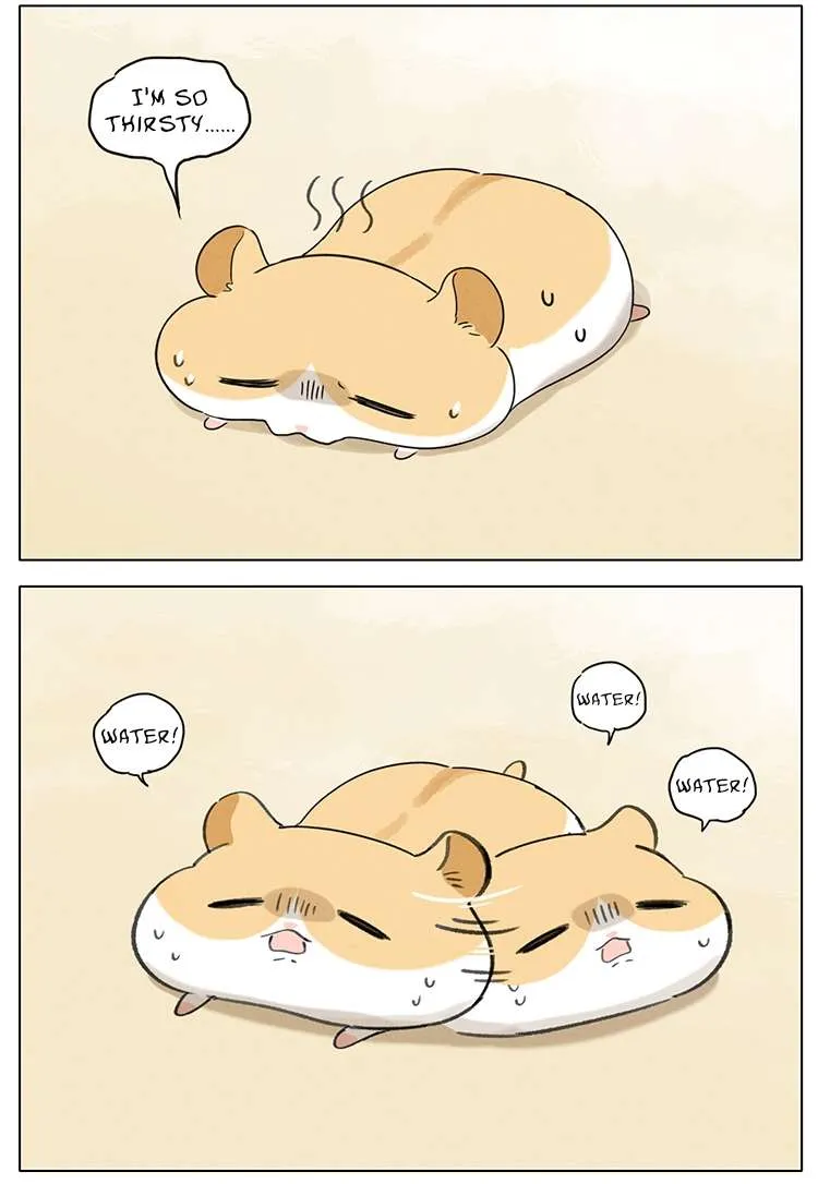 Hamster Chapter 6 page 6 - 