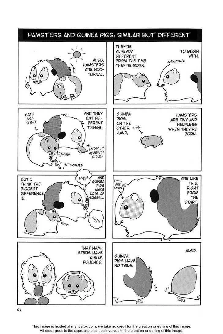 Hamster Chapter 7 page 7 - 