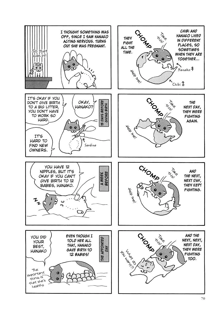 Hamster Chapter 8 page 2 - 