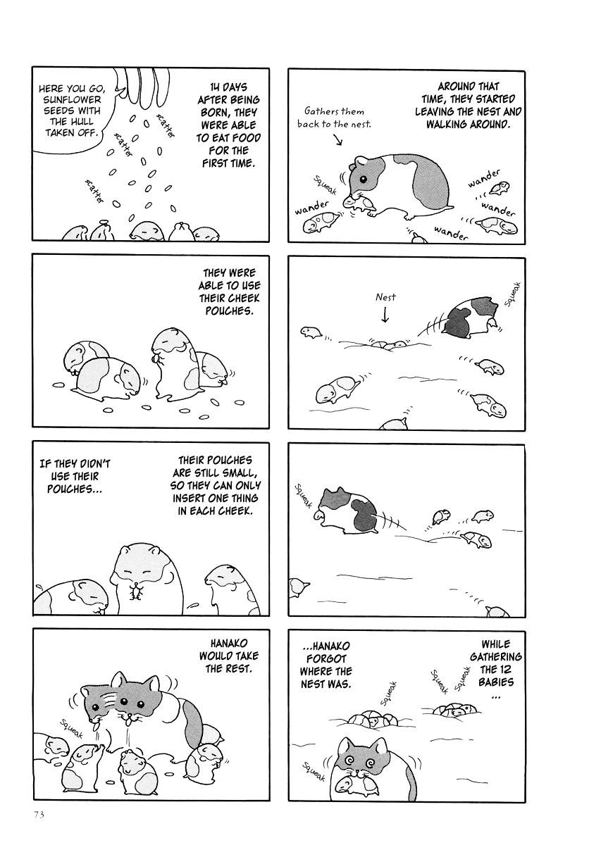 Hamster Chapter 8 page 5 - 