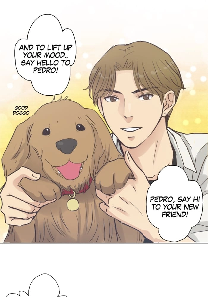 Hana & Mr. Arrogant Chapter 31 page 14 - 