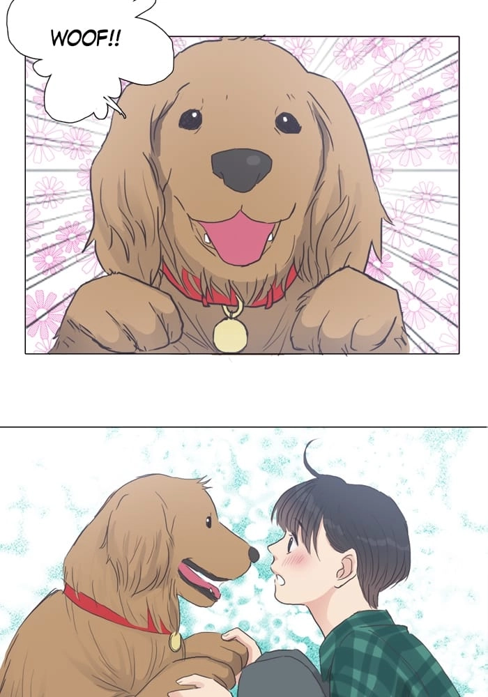 Hana & Mr. Arrogant Chapter 31 page 15 - 