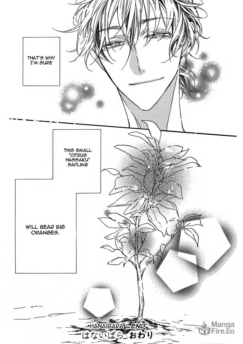 Hanaibara Chapter 3 page 33 - 
