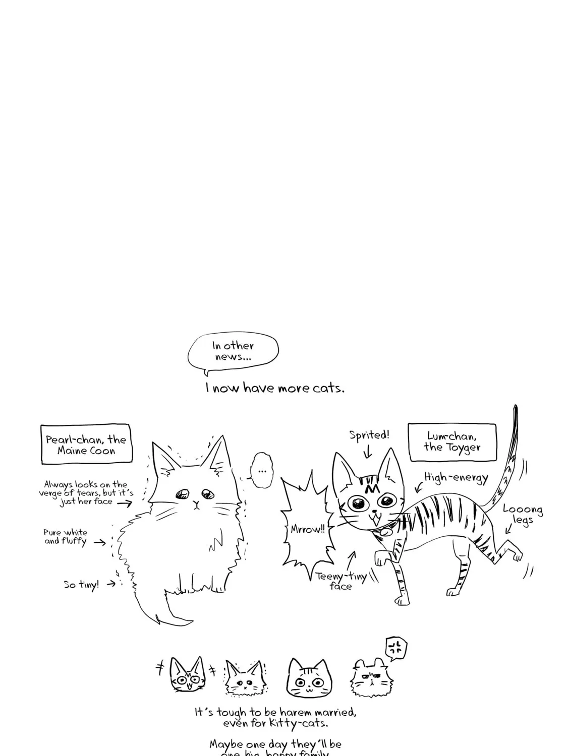 Harem Marriage Chapter 178 page 37 - 