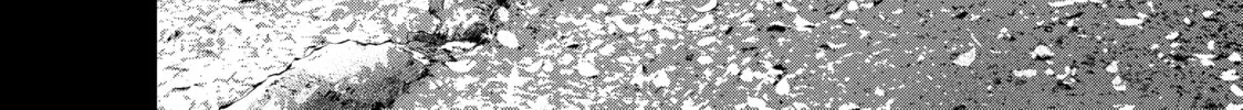 Harem Marriage Chapter 30 page 28 - 