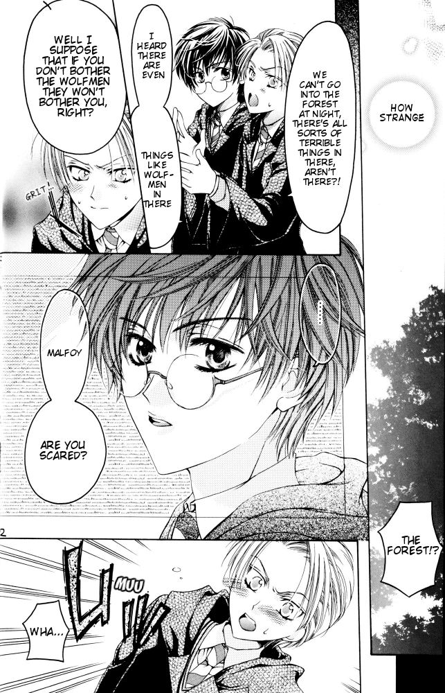 Harry Potter - Dear Feeling (Doujinshi) Chapter 0 page 13 - 