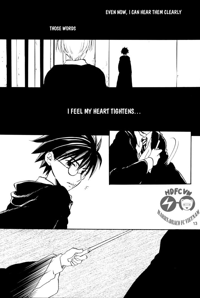 Harry Potter - Fake Fur (Doujinshi) Chapter 0 page 13 - 
