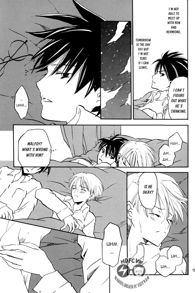 Harry Potter - Fake Fur (Doujinshi) Chapter 0 page 19 - 