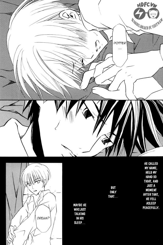 Harry Potter - Fake Fur (Doujinshi) Chapter 0 page 21 - 
