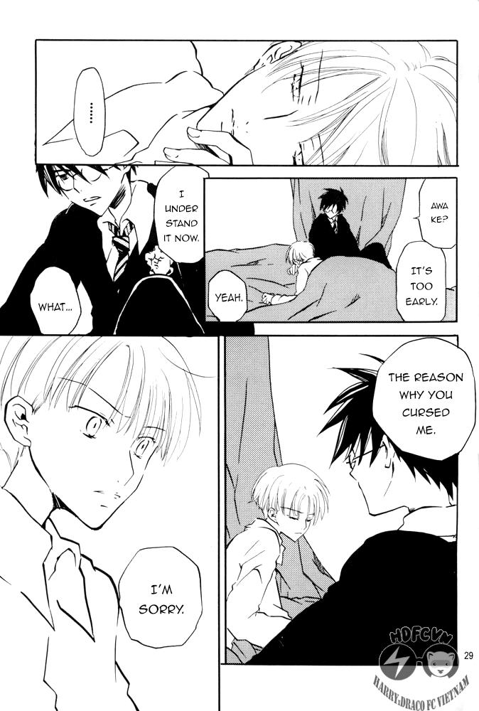 Harry Potter - Fake Fur (Doujinshi) Chapter 0 page 29 - 