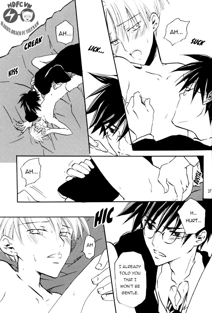 Harry Potter - Fake Fur (Doujinshi) Chapter 0 page 37 - 