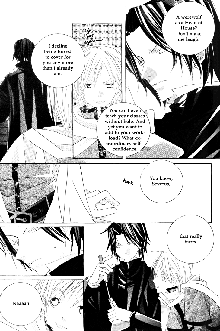Harry Potter - Something In The Snow (Doujinshi) Chapter 0 page 11 - 