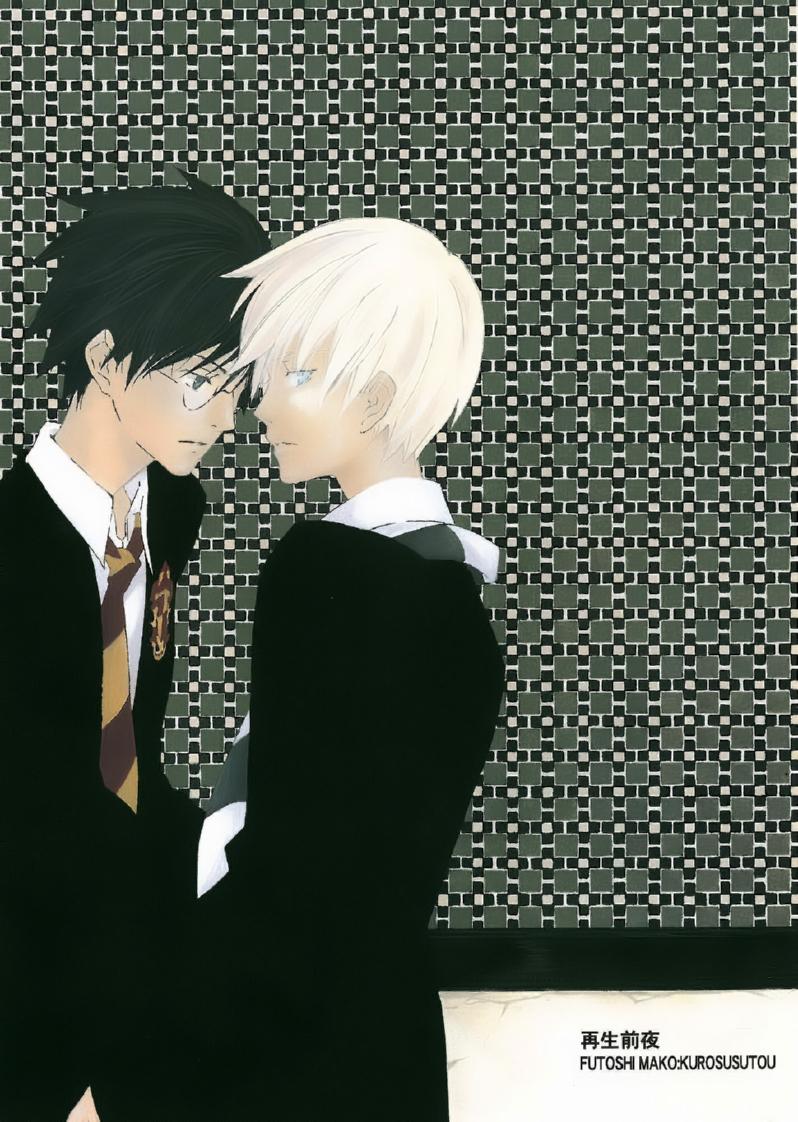 Harry Potter - The Night Before Being Reborn (Doujinshi) Chapter 0 page 3 - 