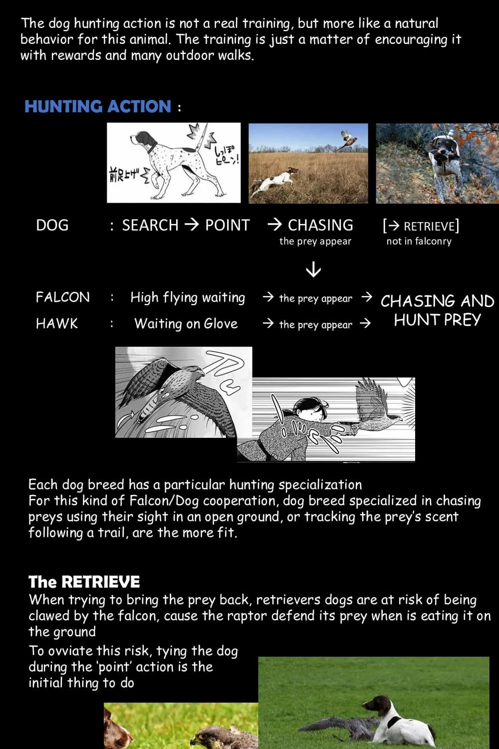 Hawk Master, It's Hunting Time! Chapter 11 page 11 - 